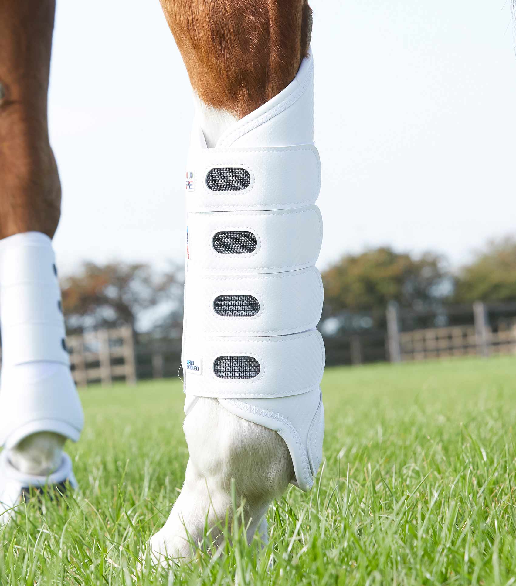 Carbon Tech Air Cooled Eventing Boots Hind - Image 4