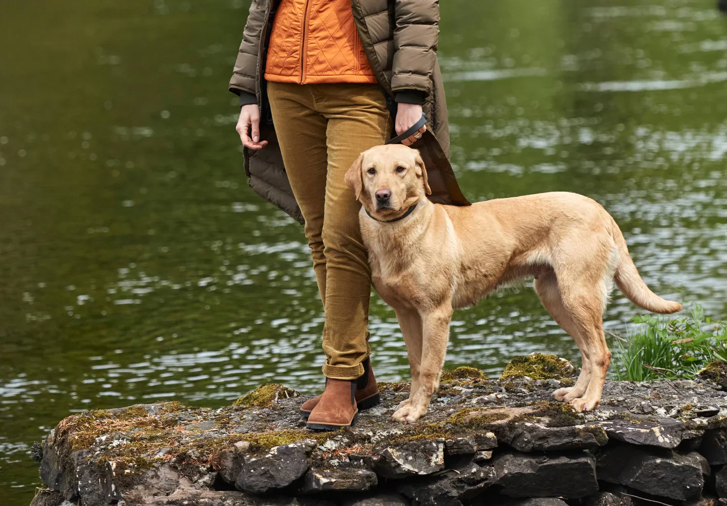 Dubarry Wmn Honeysuckle Jeans Harvest Gold - Image 3