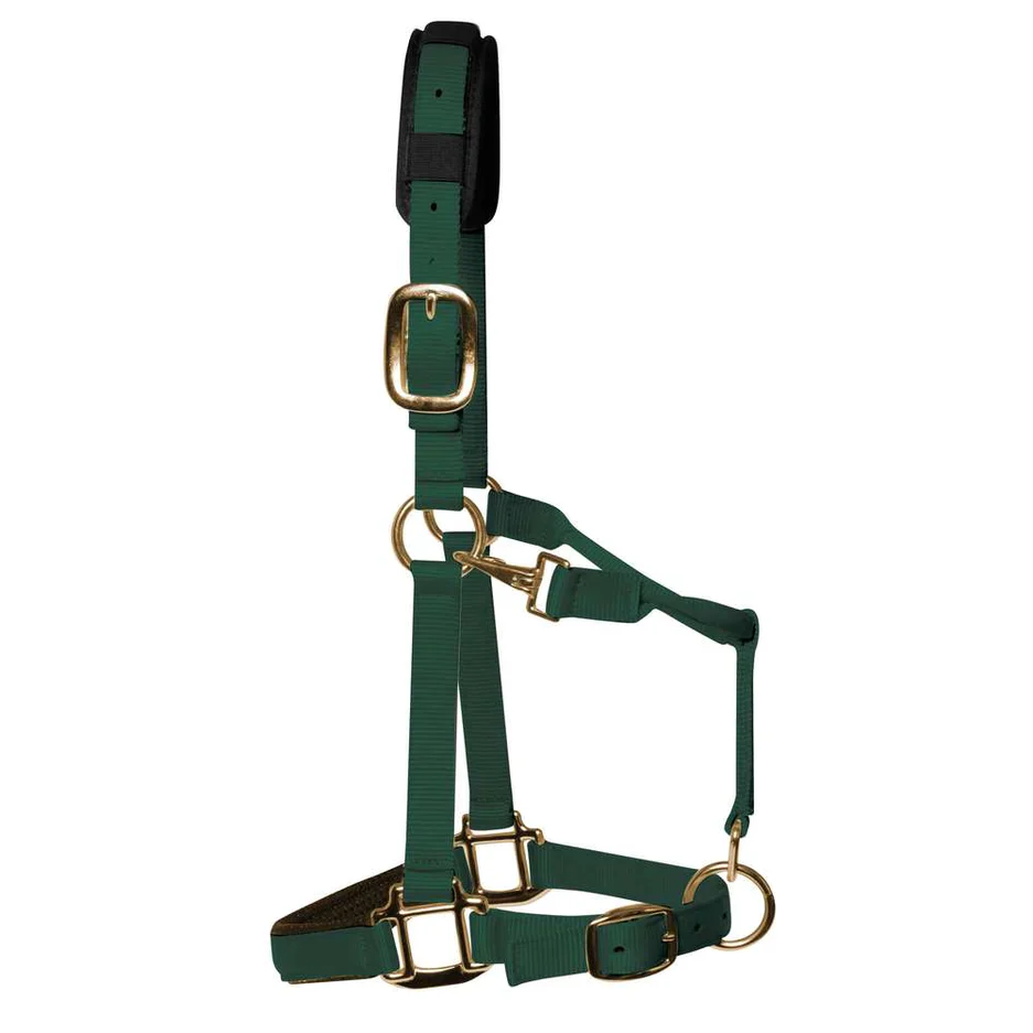 KM Elite Halter - Image 3
