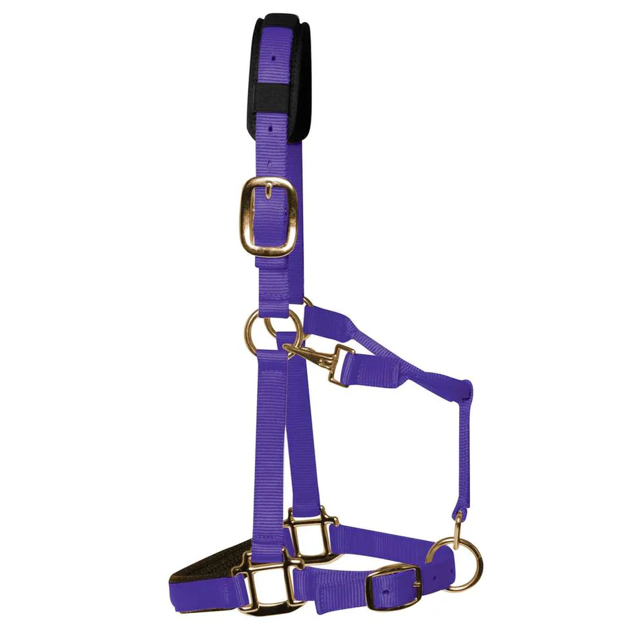 KM Elite Halter - Image 4