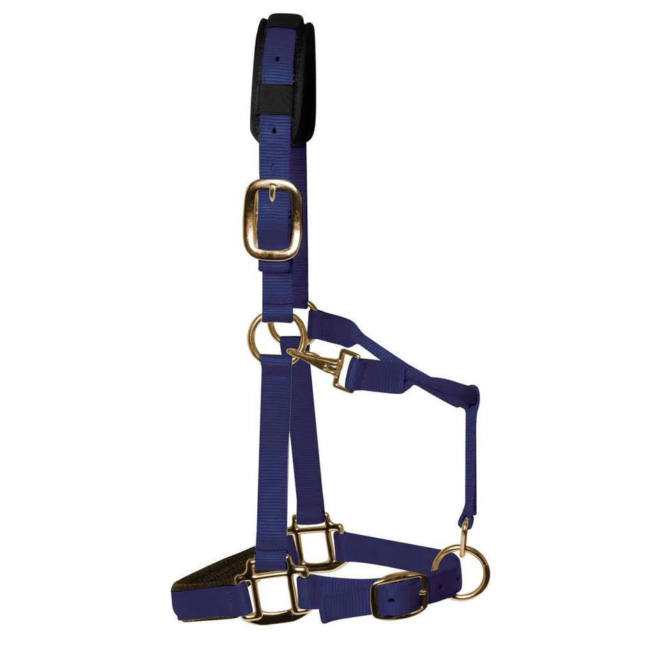 KM Elite Halter - Image 5