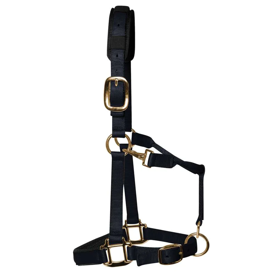 KM Elite Halter - Image 6