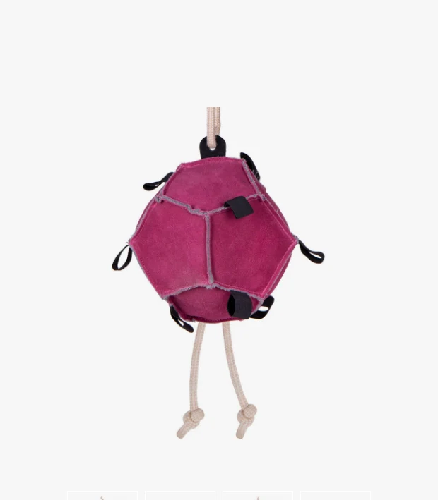 QHP Horse Toy Ball - Image 3