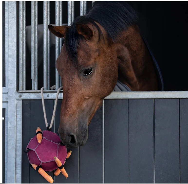 QHP Horse Toy Ball - Image 5